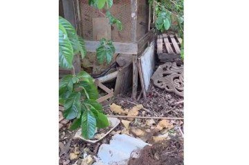 Corpo de idoso desaparecido - (crédito: Material cedido ao Correio) Corpo de idoso desaparecido - (crédito: Material cedido ao Correio)