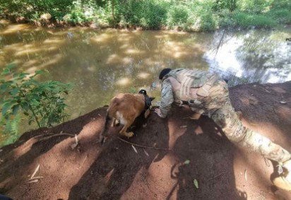 Cadela do BPC&atilde;es localiza drogas em &aacute;reas de tr&aacute;fico no Plano Piloto