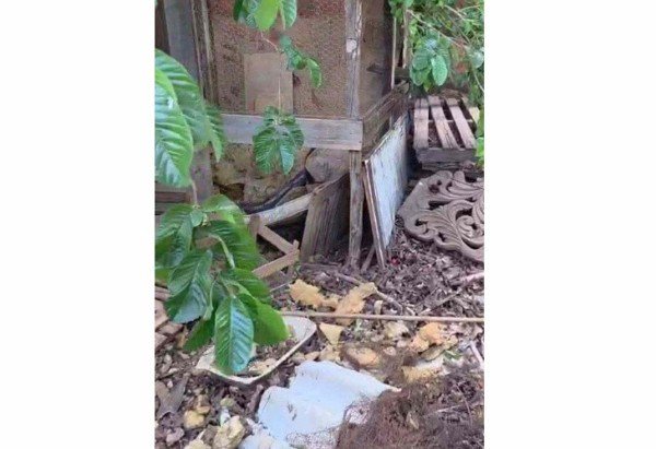 Corpo de idoso desaparecido -  (crédito: Material cedido ao Correio)