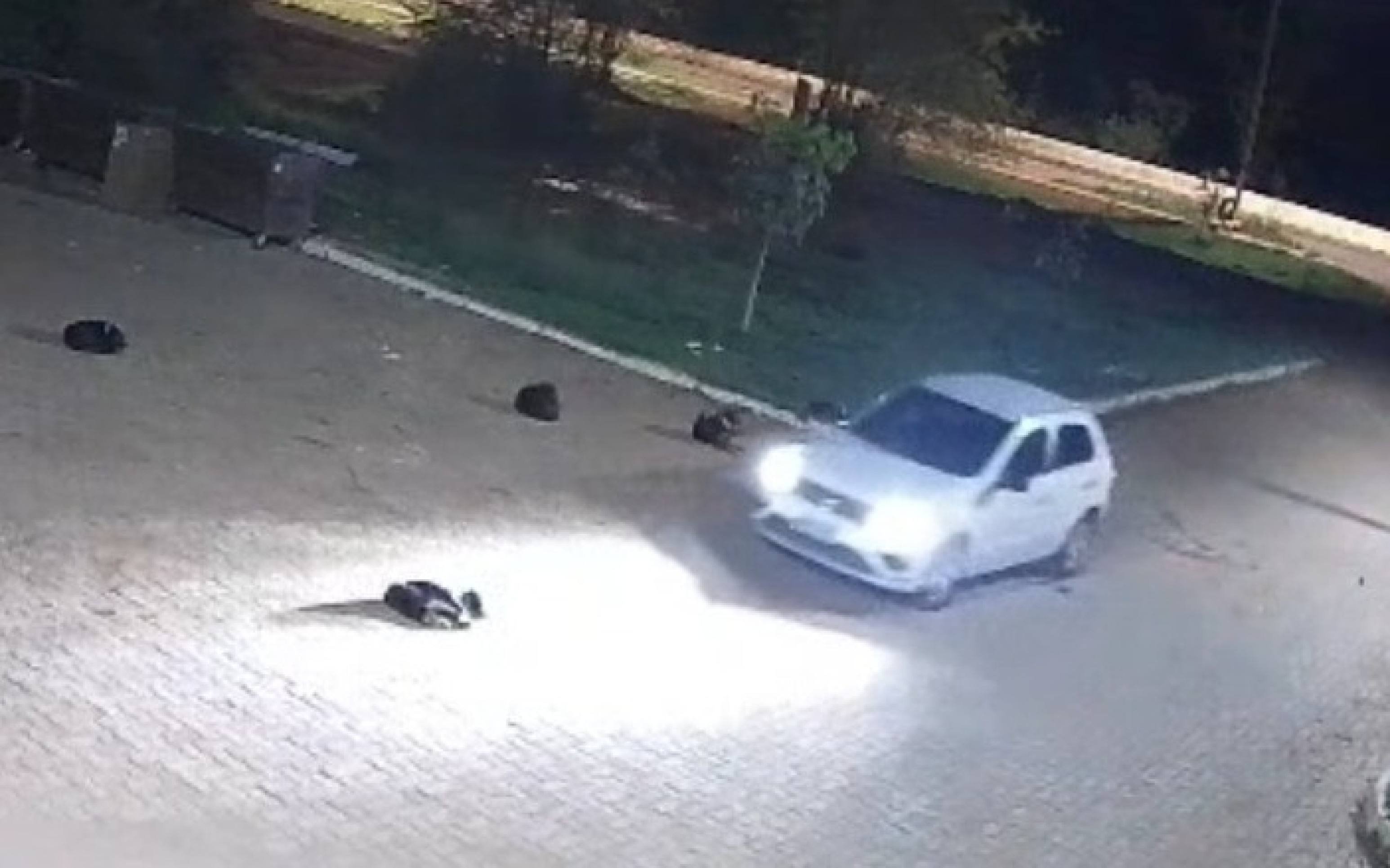 Vídeo: PM que atropelou e matou cão em Vicente Pires é preso
