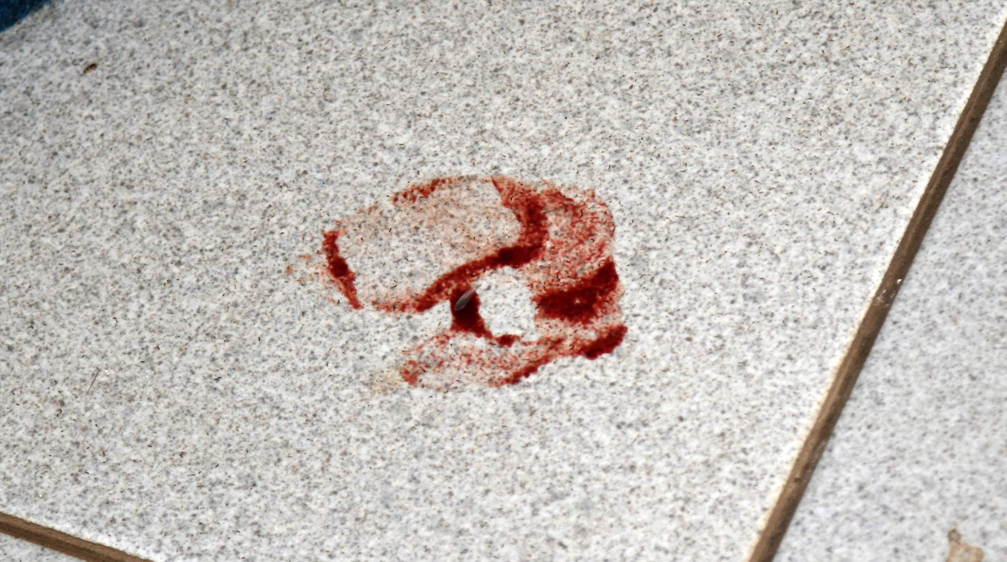 14/11/2025. Cr&eacute;dito: Ed Alves/CB/D.A Press. Brasil.  Brasilia - DF.  Cidades. Ladr&atilde;o invade Instituto Hist&oacute;rico do DF e leva pe&ccedil;as de Kubitschek. Criminoso levou pe&ccedil;as valiosas que pertenceram a personalidades da capital, 