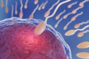 Brasil lidera o ranking em reprodução assistida da América Latina - (crédito: Freepik ) Brasil lidera o ranking em reprodução assistida da América Latina - (crédito: Freepik )