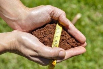 A metodologia mede a atividade das enzimas arilsulfatase e beta-glicosidase, bioindicadores ligados aos ciclos do enxofre e do carbono - (crédito: Fabiano Bastos/Embrapa) A metodologia mede a atividade das enzimas arilsulfatase e beta-glicosidase, bioindicadores ligados aos ciclos do enxofre e do carbono - (crédito: Fabiano Bastos/Embrapa)