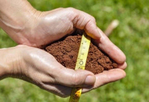 Fabiano Bastos/Embrapa