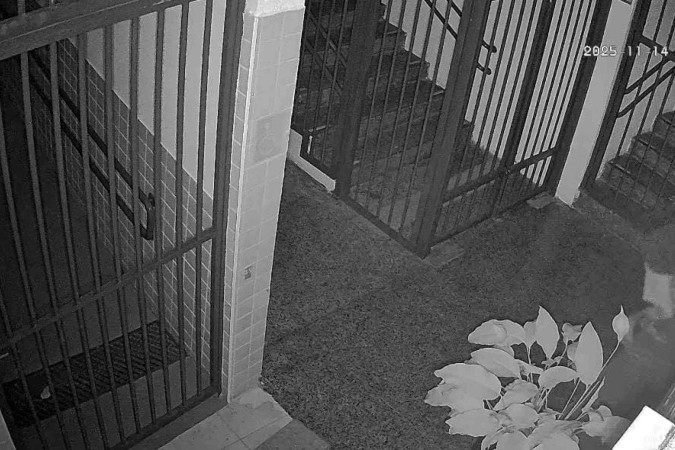 Ladrões invadem Instituto Histórico do DF e levam peças valiosas de Juscelino Kubitschek e Joffre Mozart
- (crédito: Cedido ao Correio) Ladrões invadem Instituto Histórico do DF e levam peças valiosas de Juscelino Kubitschek e Joffre Mozart
- (crédito: Cedido ao Correio)