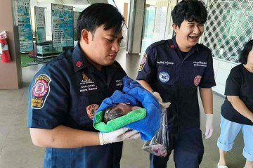 Bebê é resgatado com vida de dentro da descarga de vaso prédio - (crédito: Reprodução/Redes sociais ) Bebê é resgatado com vida de dentro da descarga de vaso prédio - (crédito: Reprodução/Redes sociais )