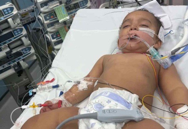 Reprodução/GoFundMe