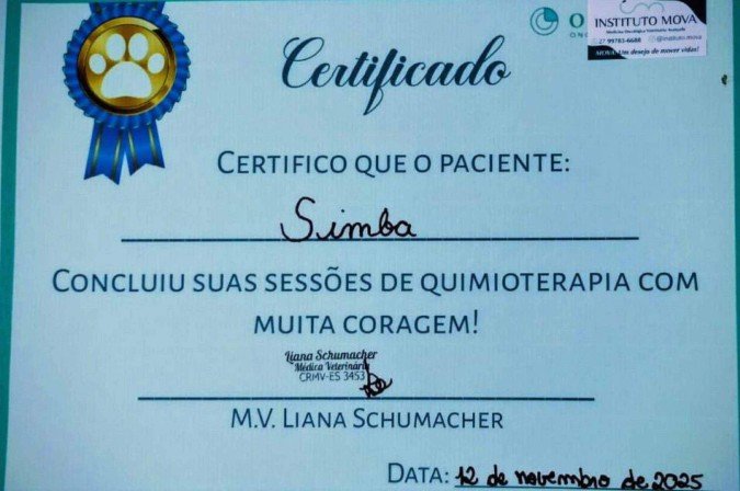 Simba recebeu um certificado depois 
de concluir as sess&otilde;es de quimioterapia