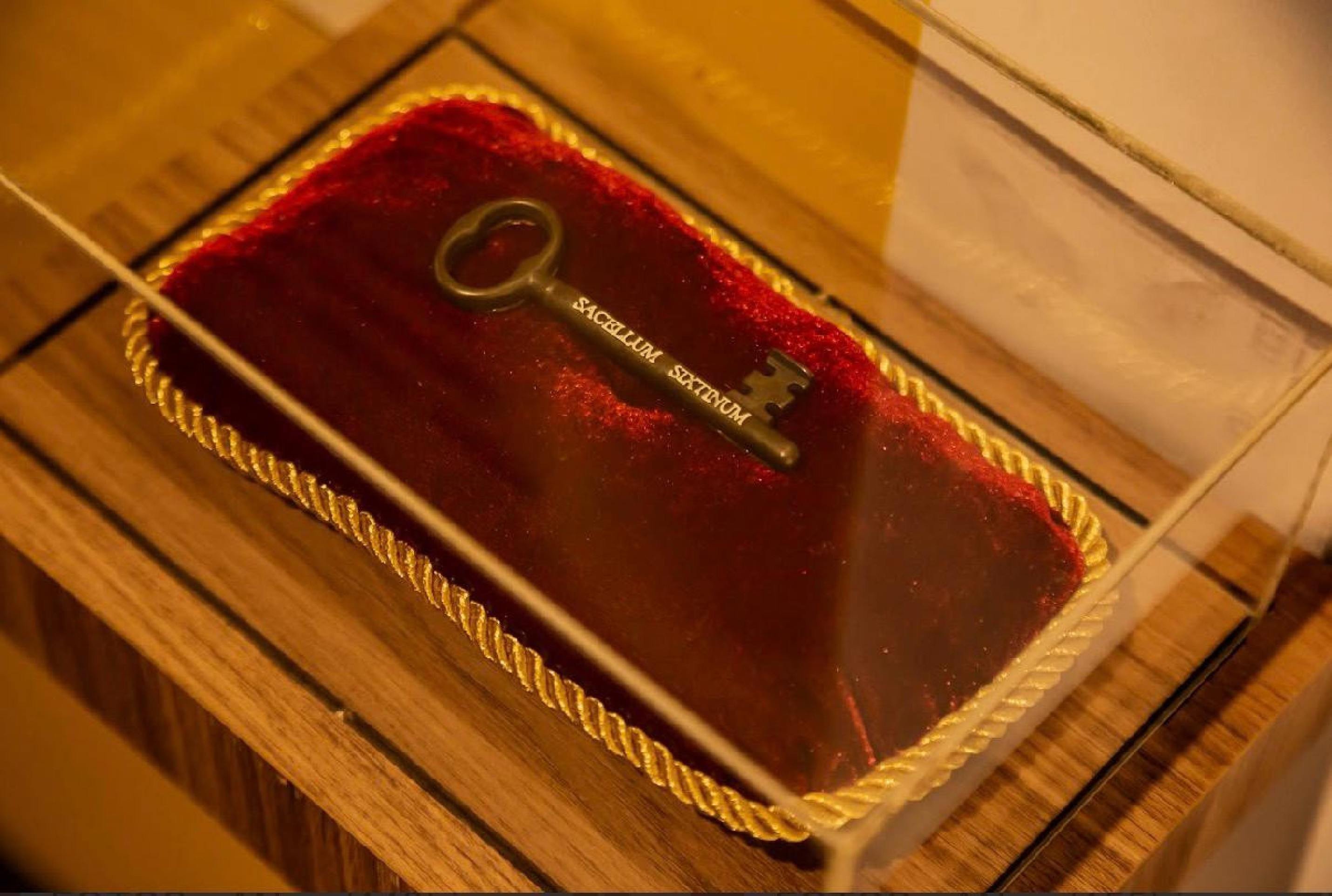 Arquivo pessoall / Exposição Michelangelo