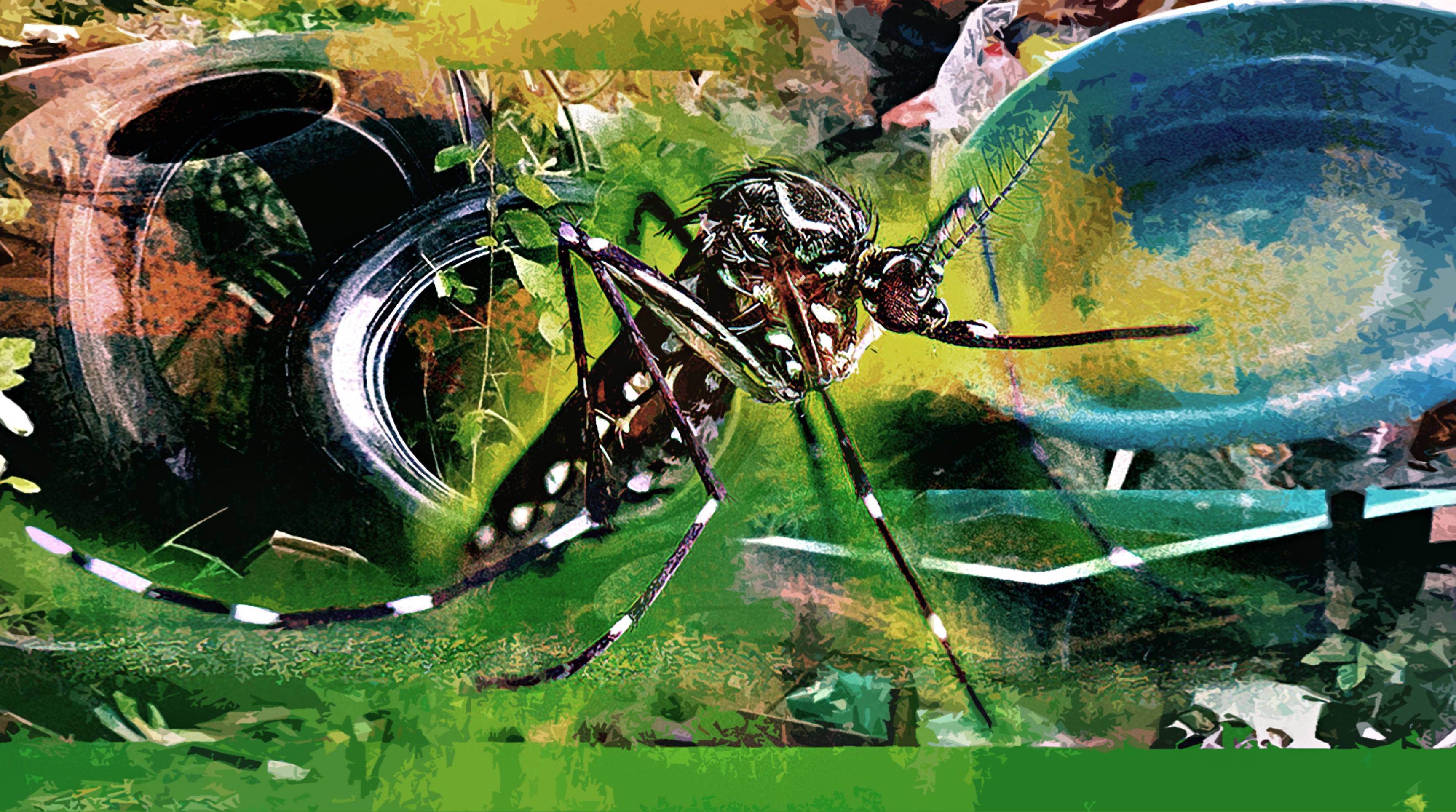 A dengue se alimenta do que deixamos de fazer 