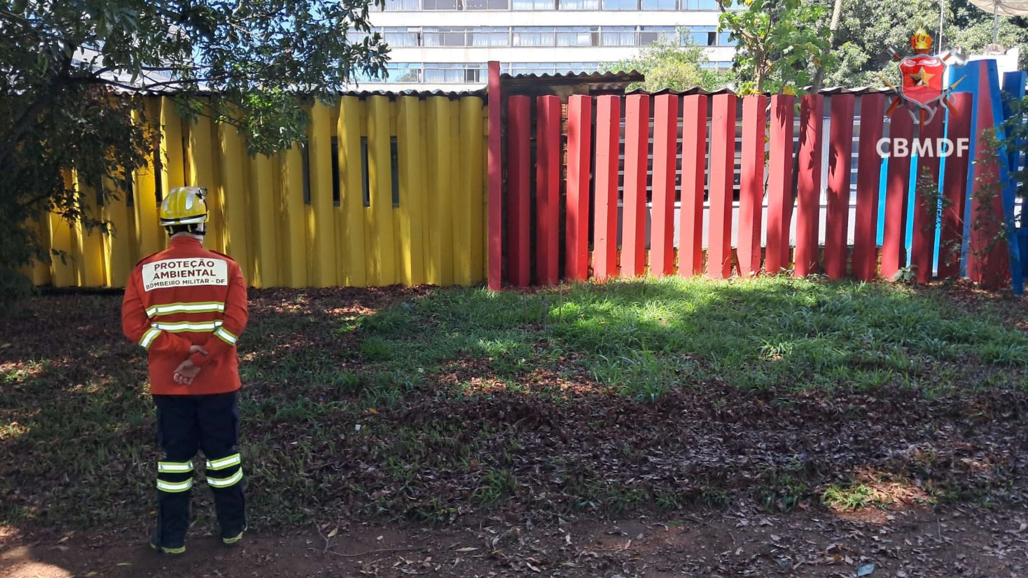 Alunos e professores são atacados por abelhas em escola da Asa Sul