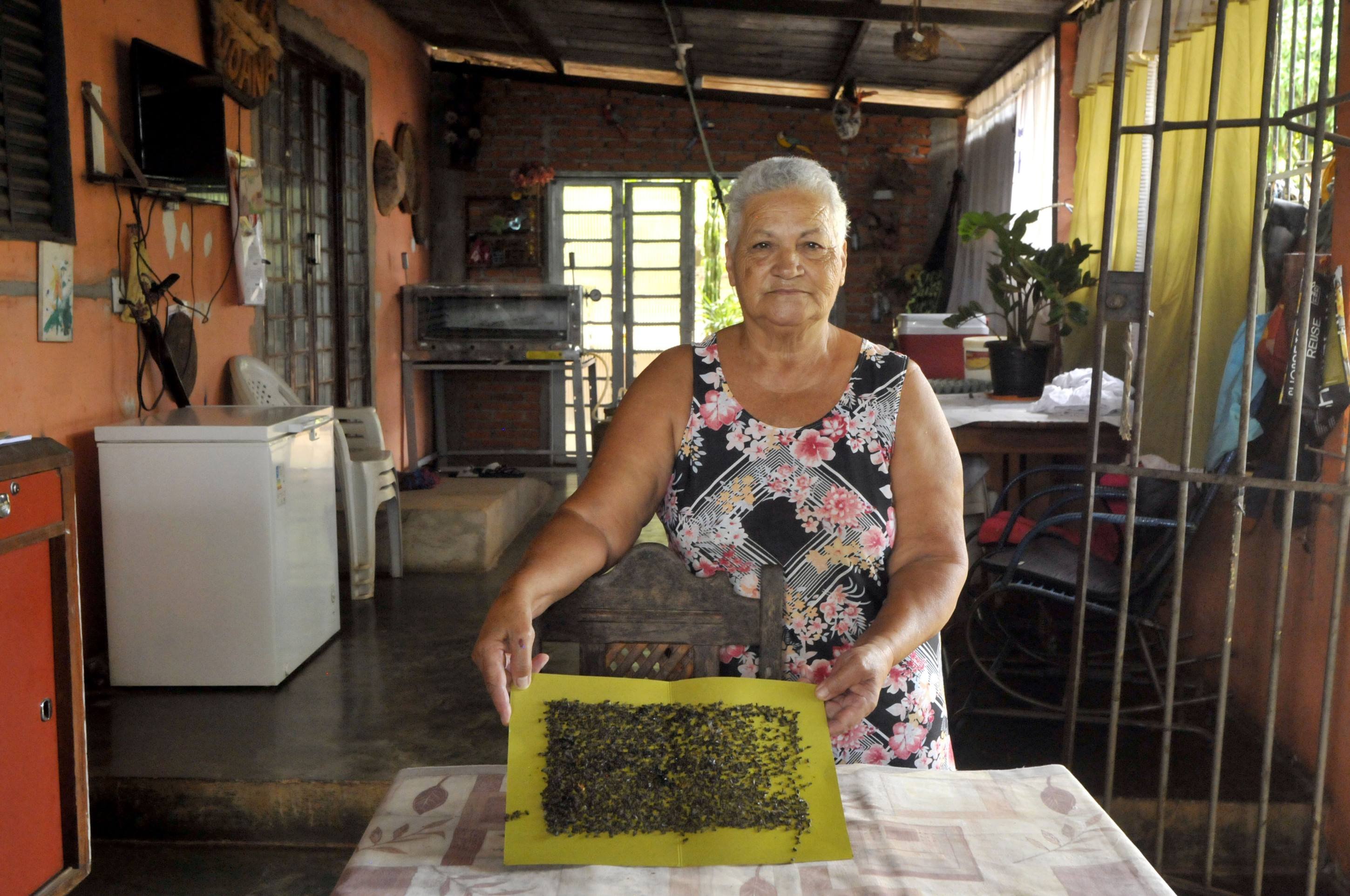 Joana Santana mostra tela com cola que captura insetos