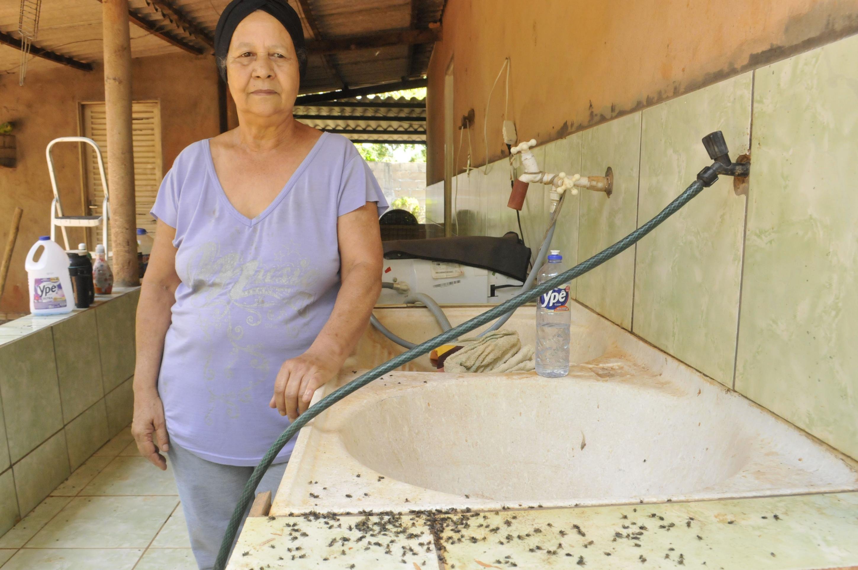 Magda Lopes diz que gastou  R$ 500 em venenos para moscas