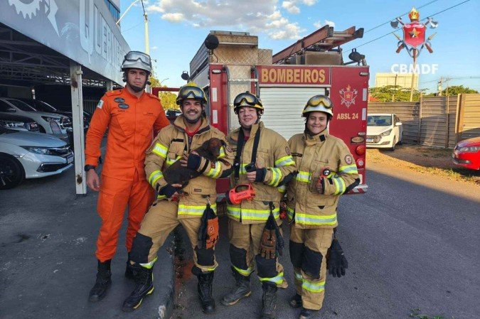 Cachorro é resgatado após cair em buraco de 10 metros de profundidade em Ceilândia - (crédito: CBMDF/Divulgação) Cachorro é resgatado após cair em buraco de 10 metros de profundidade em Ceilândia - (crédito: CBMDF/Divulgação)