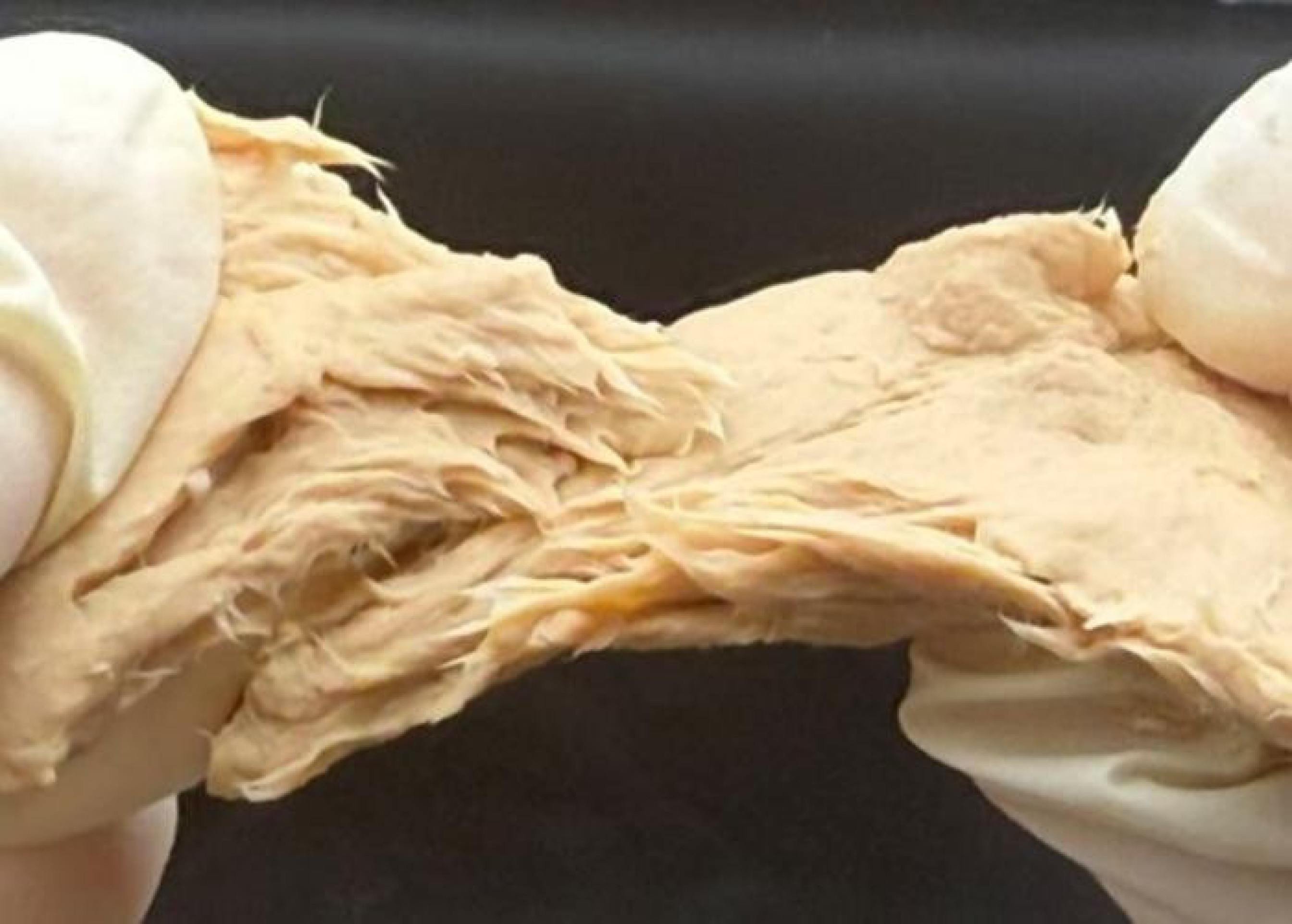 Cientistas criam fungos com gosto e textura de carne