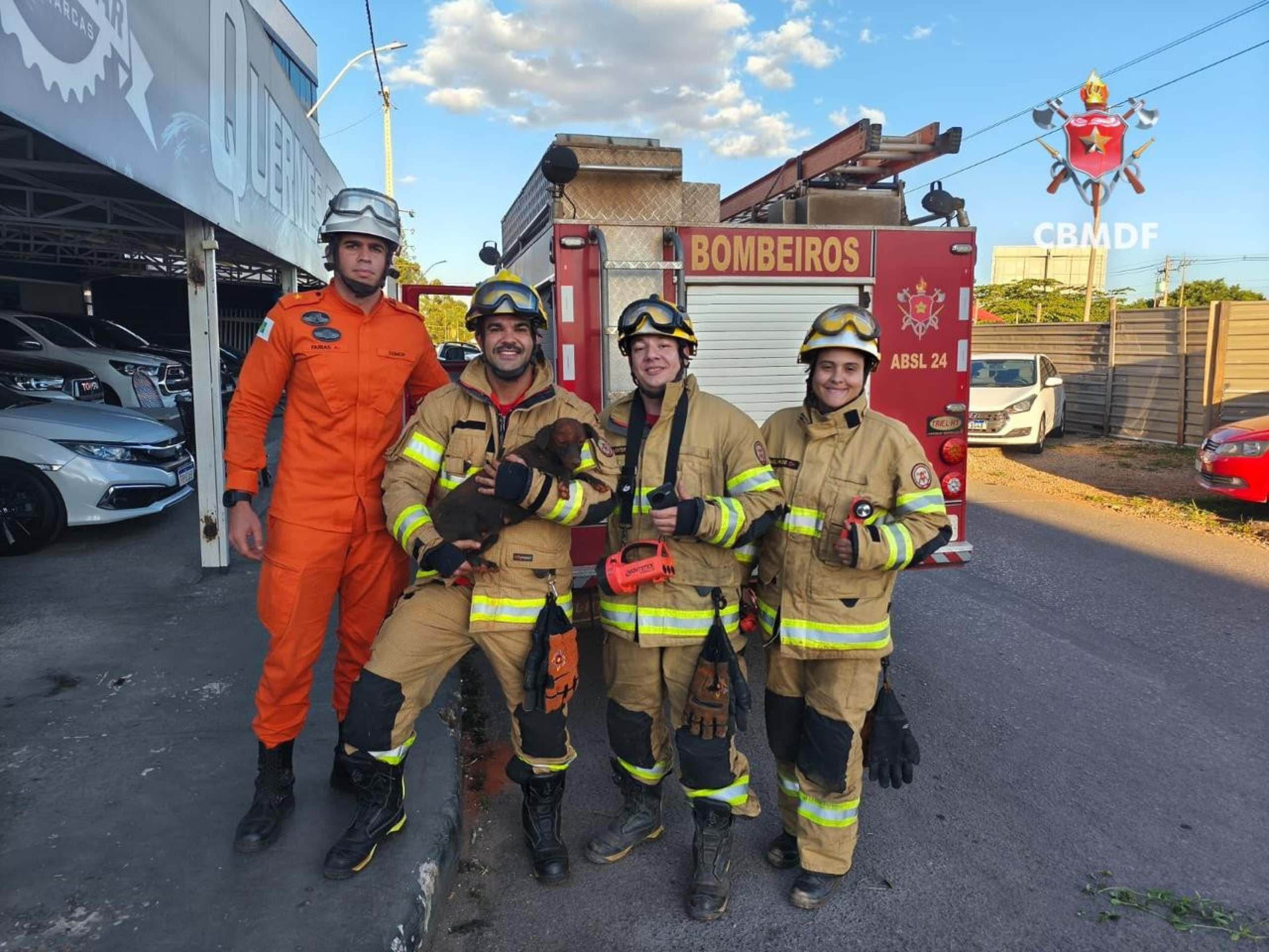 Vídeo: Cachorro é resgatado após cair em buraco de 10 metros em Ceilândia