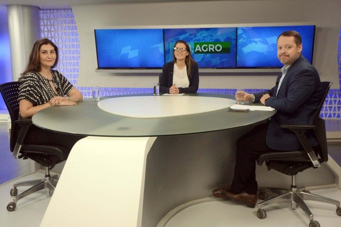 Para Daniela Bittencourt, pesquisadora e secretária-executiva do Comitê Permanente de Assessoramento da Diretoria de Pesquisa e Desenvolvimento da Embrapa em Cannabis, a decisão representa um divisor de águas - (crédito: Marcelo Ferreira/CB/D.A Press) Para Daniela Bittencourt, pesquisadora e secretária-executiva do Comitê Permanente de Assessoramento da Diretoria de Pesquisa e Desenvolvimento da Embrapa em Cannabis, a decisão representa um divisor de águas - (crédito: Marcelo Ferreira/CB/D.A Press)