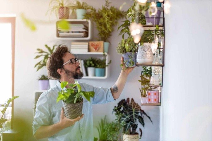 Cuidar de plantas em casa pode ser simples com alguns hÃ¡bitos (Imagem: pikselstock | Shutterstock) -  (crédito: EdiCase)