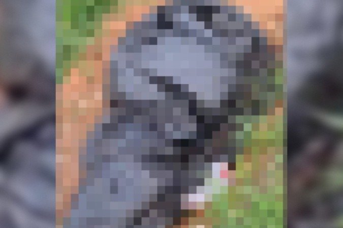 O corpo foi encontrado no início da tarde desta sexta-feira (21/10) -  (crédito: Material cedido ao Correio)