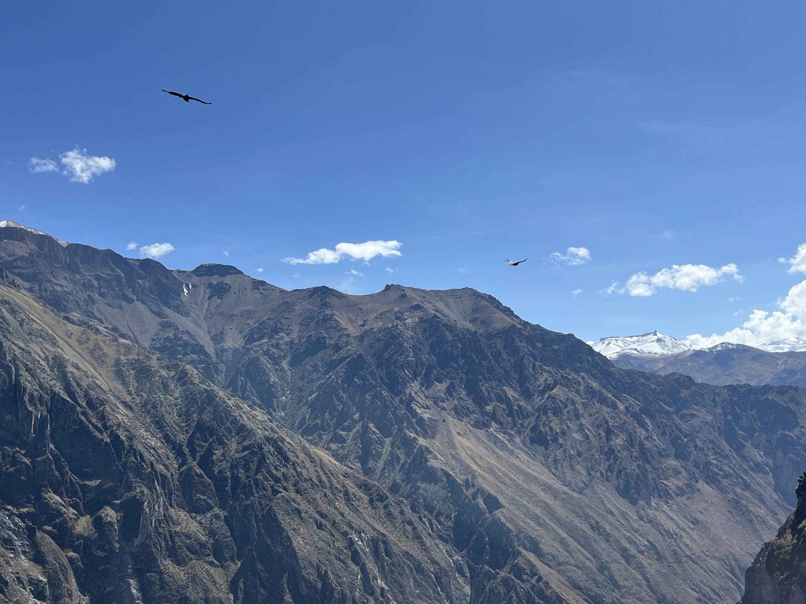 É preciso ir cedo tentar visualizar o voo do condor, ave símbolo da região