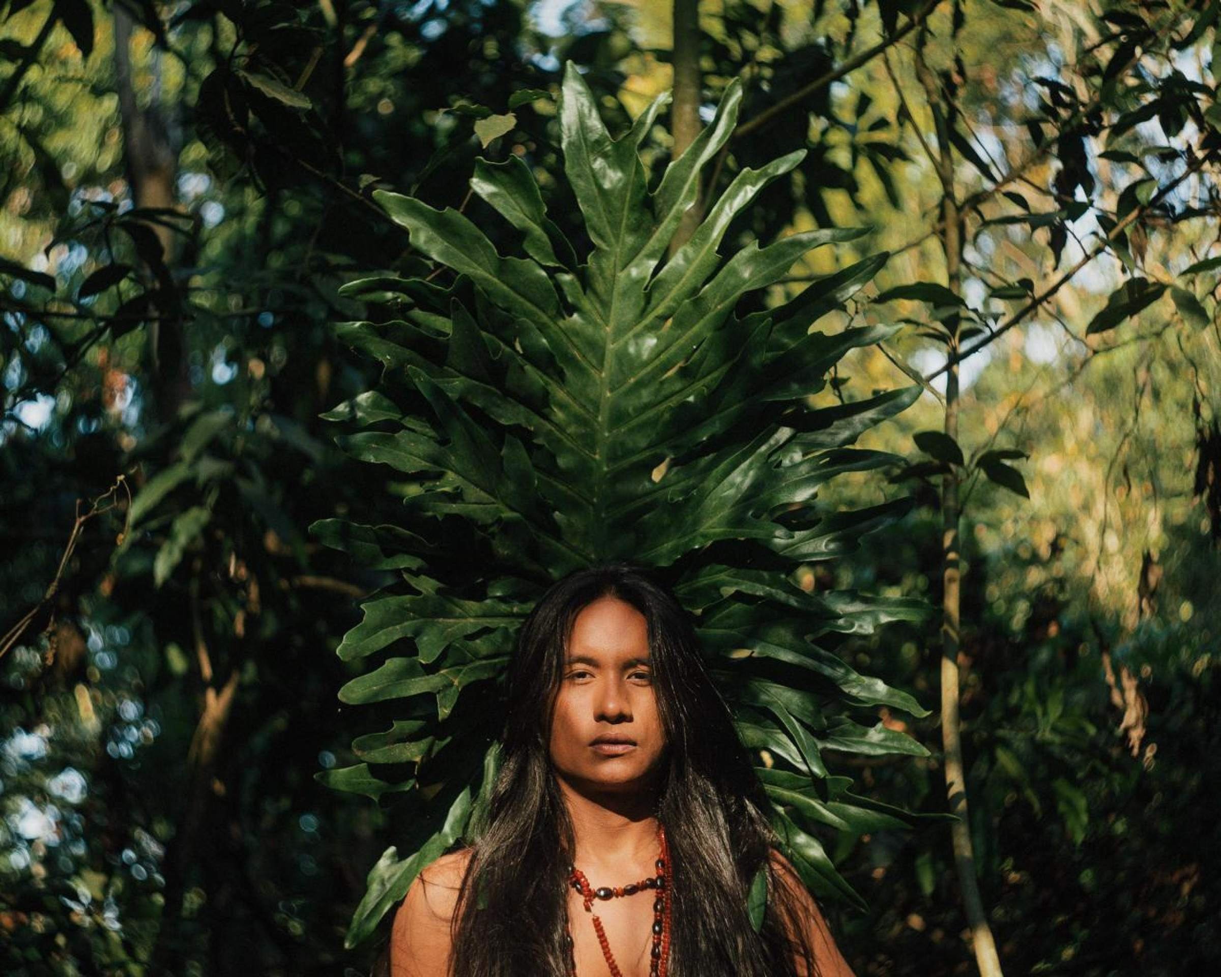 Festival de música indígena Bôsénimi começa nesta terça-feira (25/11)