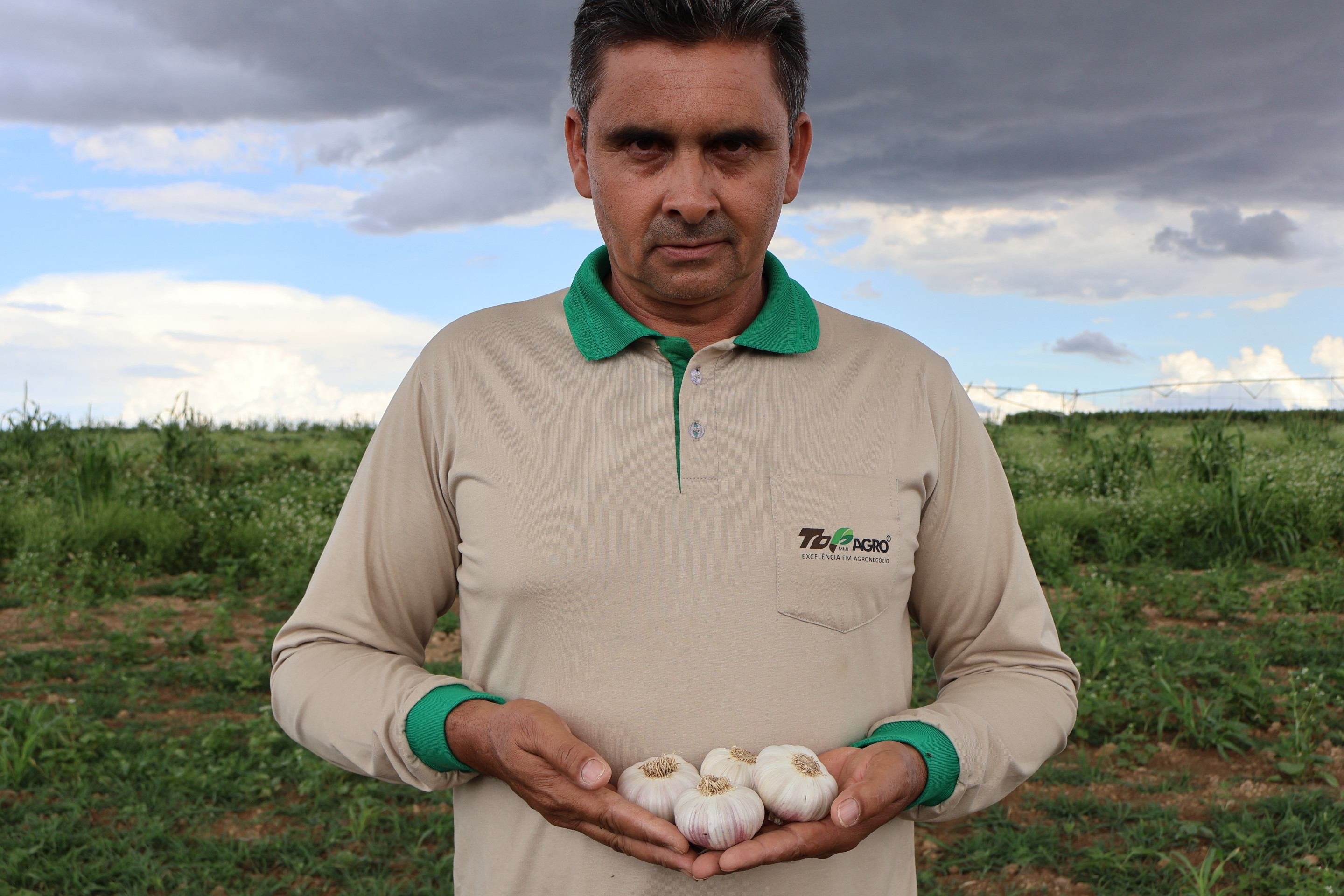 Produção de alho ganha reforço do Zoneamento Agrícola de Risco Climático