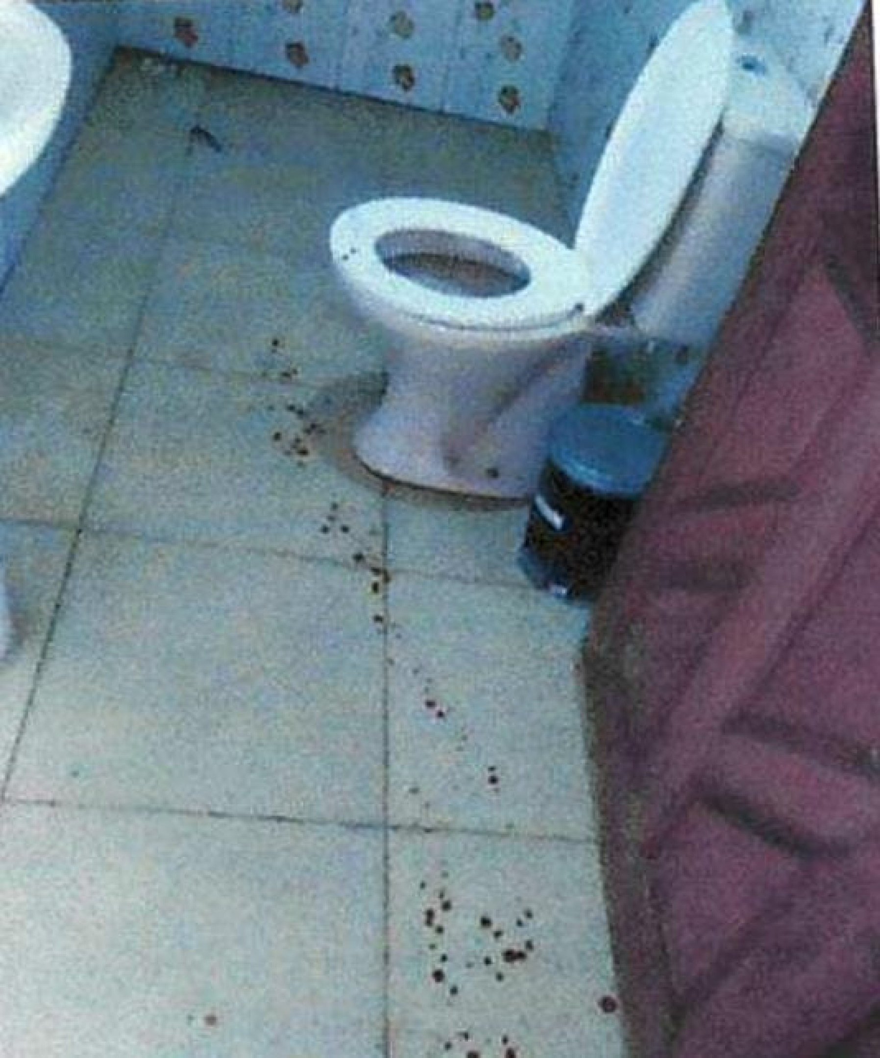 Imagens mostram a cena do crime na casa da suspeita, no Pará