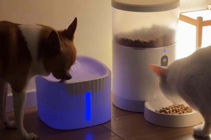 Os pets de Cecília se adaptaram bem com o comedouro automático 