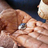 A decisão frisa também que não há produção primária de mercúrio no Brasil, sendo o produto trazido por importações ou pelo comércio ilegal -  (crédito: Reprodução/Projeto Rondon)