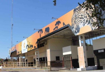 Al&eacute;m da gratuidade para as mulheres no s&aacute;bado no domingo a visita tamb&eacute;m &eacute; de gra&ccedil;a -  (crédito: Divulga&ccedil;&atilde;o/FJZB) -Al&eacute;m da gratuidade para as mulheres no s&aacute;bado no domingo a visita tamb&eacute;m &eacute; de gra&ccedil;a -  (crédito: Divulga&ccedil;&atilde;o/FJZB)