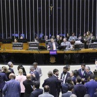 Congresso Nacional derruba vetos de Lula no licenciamento ambiental uma semana após o fim da COP 30 -  (crédito:  Kayo Magalhães / Câmara dos Deputados)