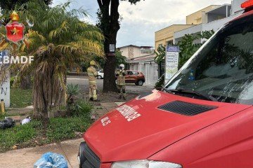 Abelhas estavam atacando pedestres na 713 Sul -  (crédito: Reprodução/CBMDF)