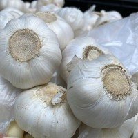 Concentrações mais elevadas de antisséptico têm eficácia comparável à da fórmula industrial -  (crédito: F. Antewan/Divulgação )