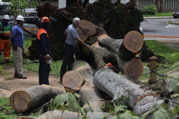 Um equipe terceirizada foi contratada para realizar o serviço