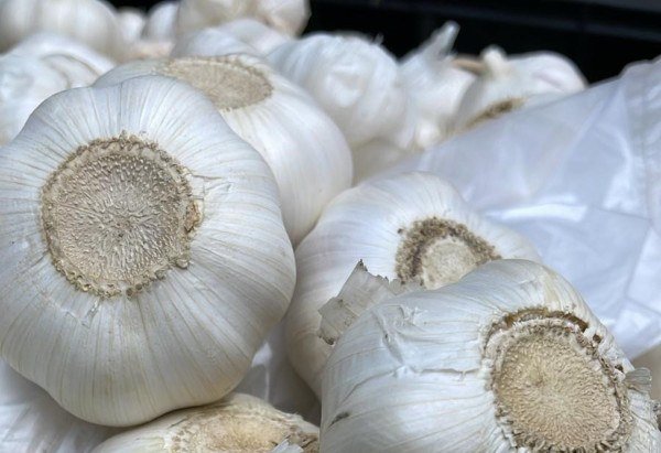 F. Antewan/Divulgação