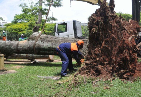 Marcelo Ferreira/CB/DA Press