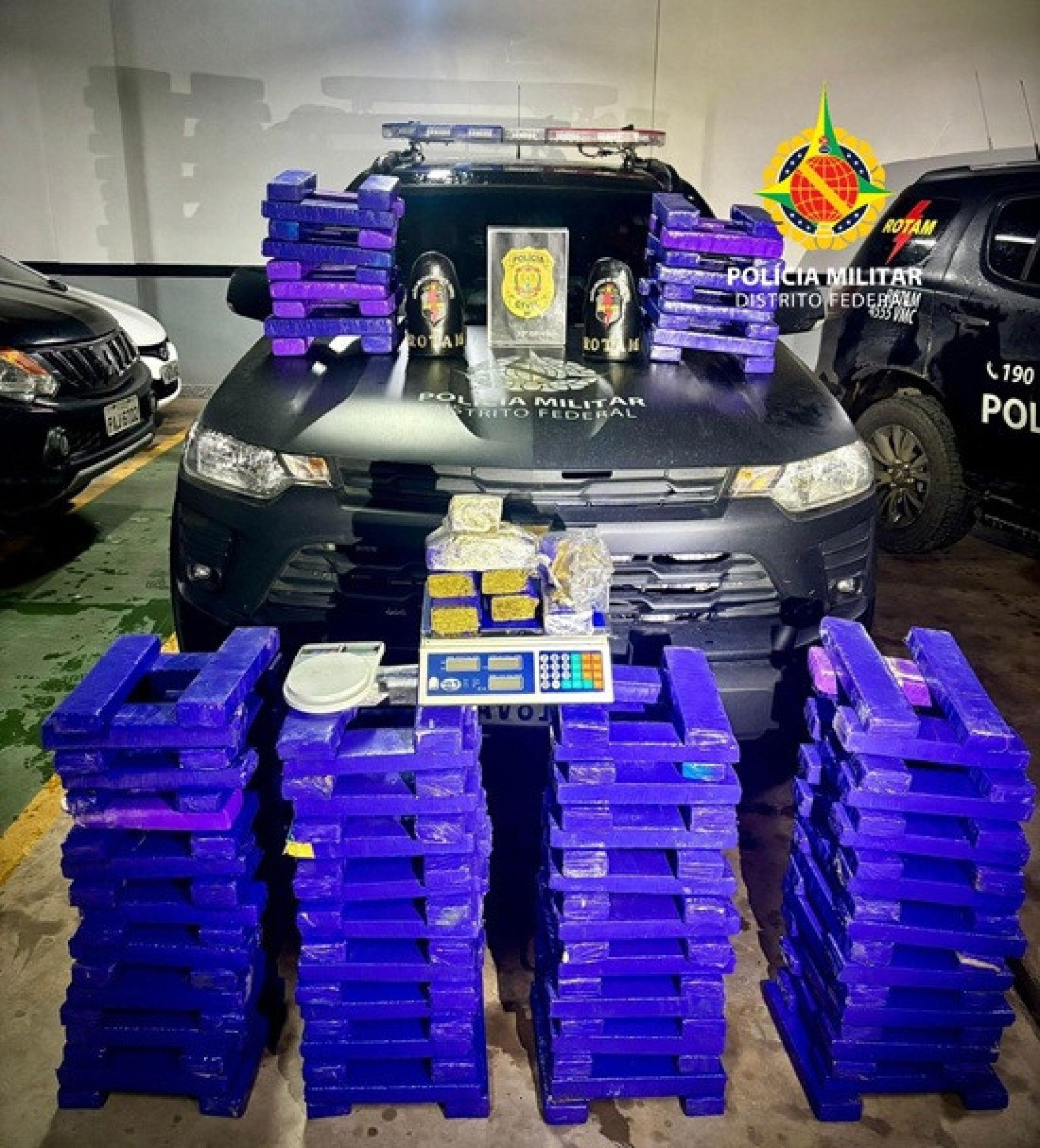 Polícia apreende mais de 200 tabletes de maconha e prende suspeito no Gama