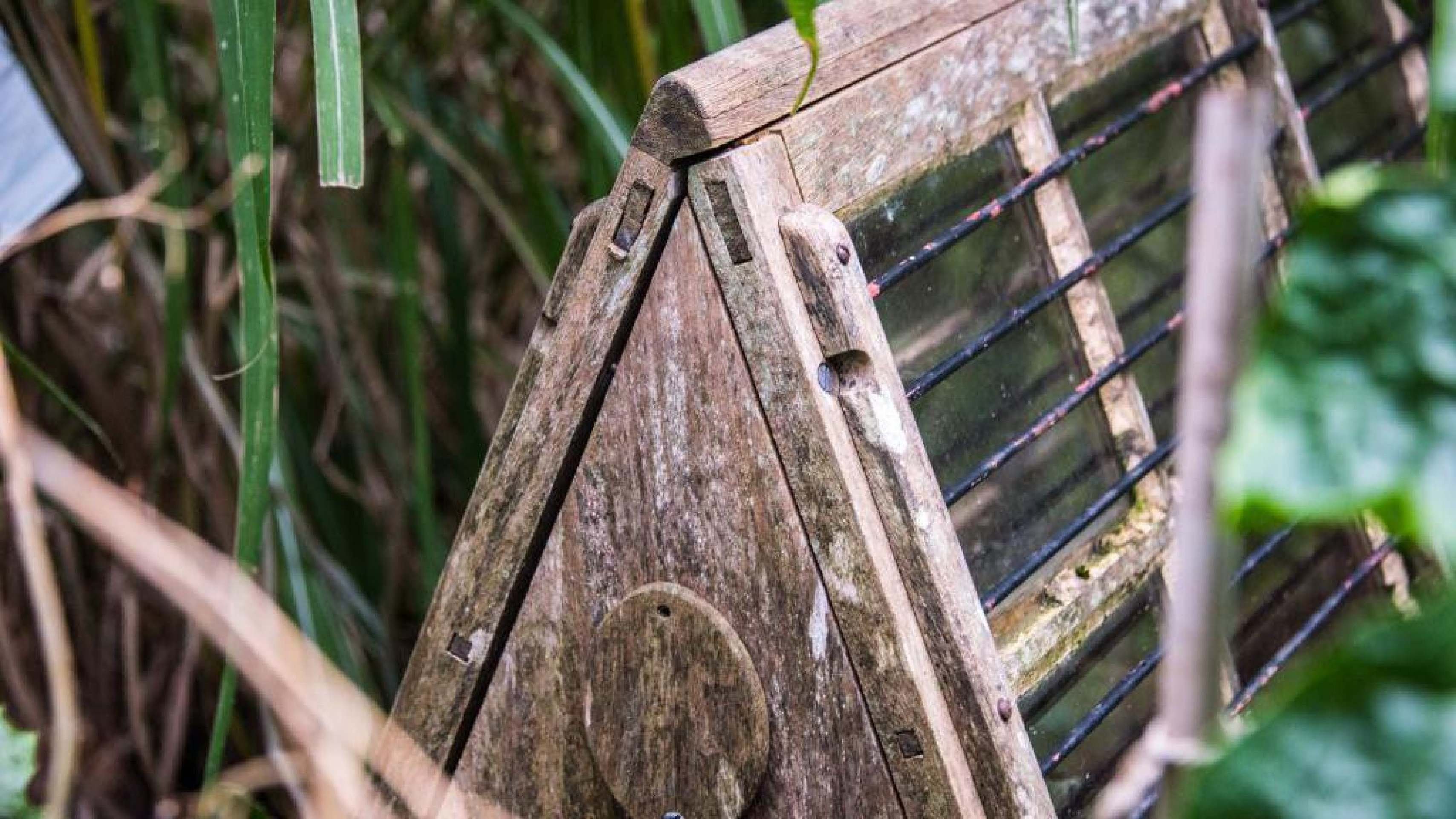 O que são as engenhosas caixas de Ward e como elas transformaram a economia mundial