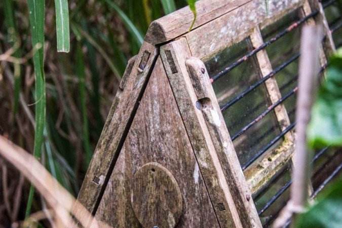 Nathaniel Bagshaw Ward, retratado em 1868, nunca imaginou que seu invento reconfiguraria a economia - (crédito: Getty Images) Nathaniel Bagshaw Ward, retratado em 1868, nunca imaginou que seu invento reconfiguraria a economia - (crédito: Getty Images)