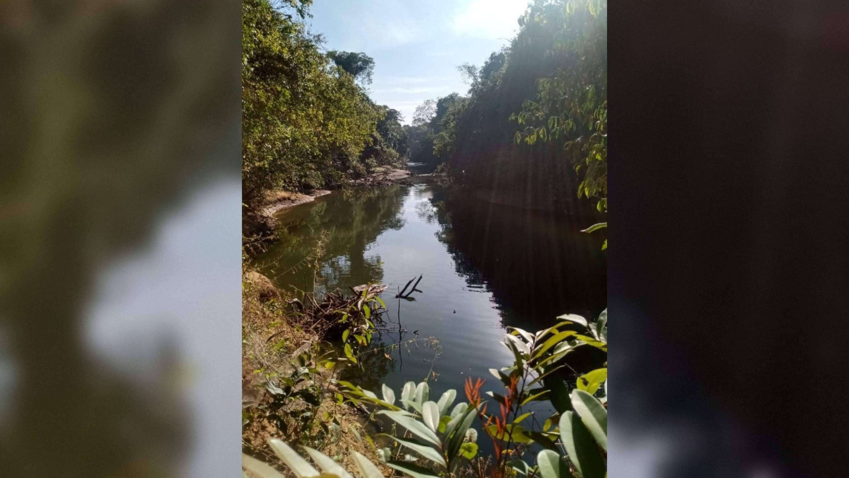 PDOT não garante preservação de mananciais do DF, alertam especialistas