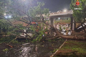 Caso ocorreu no Setor de Autarquias Sul -  (crédito: Reprodução/CBMDF)