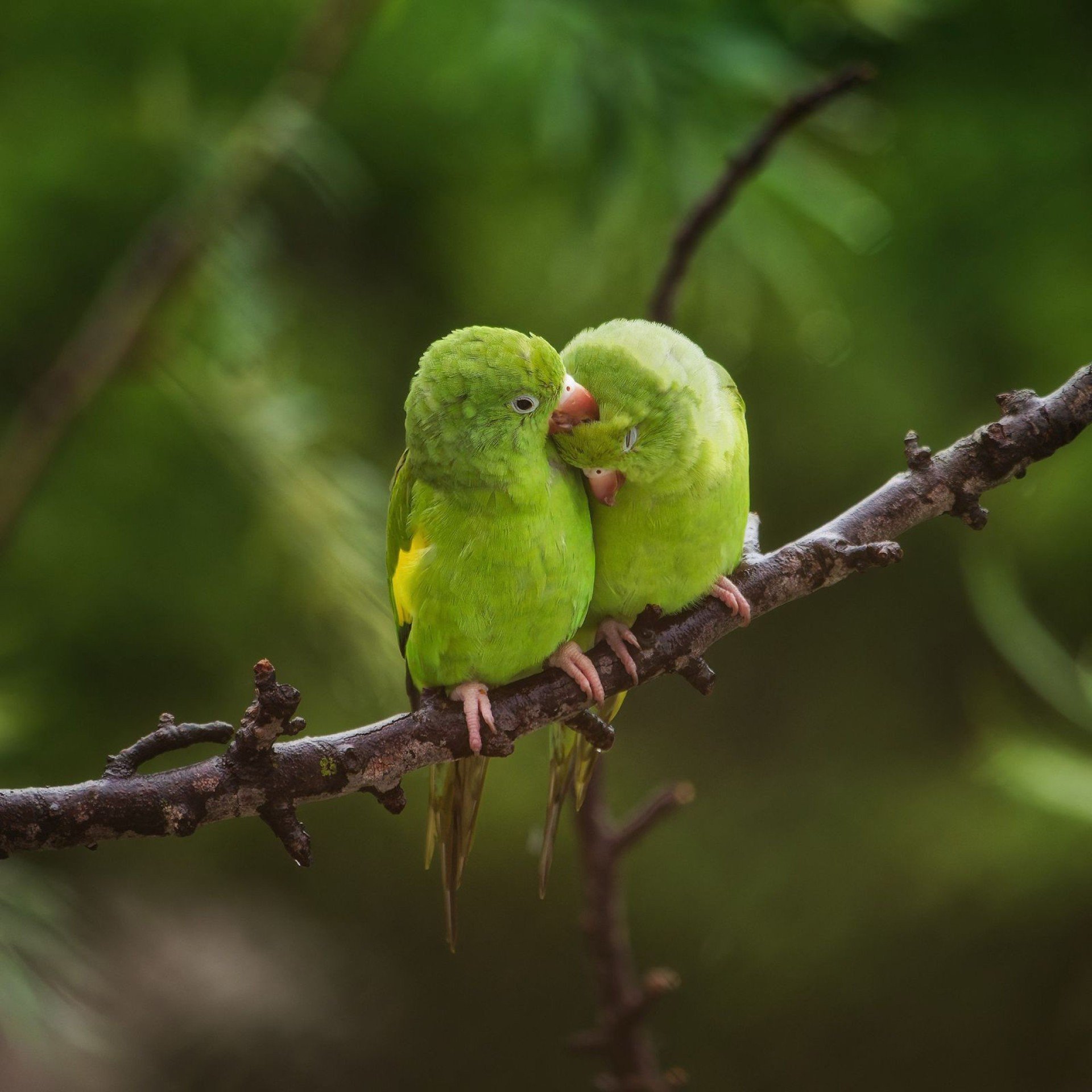 Fotógrafa brasiliense lança livro com imagens da vista deslumbrante de casa