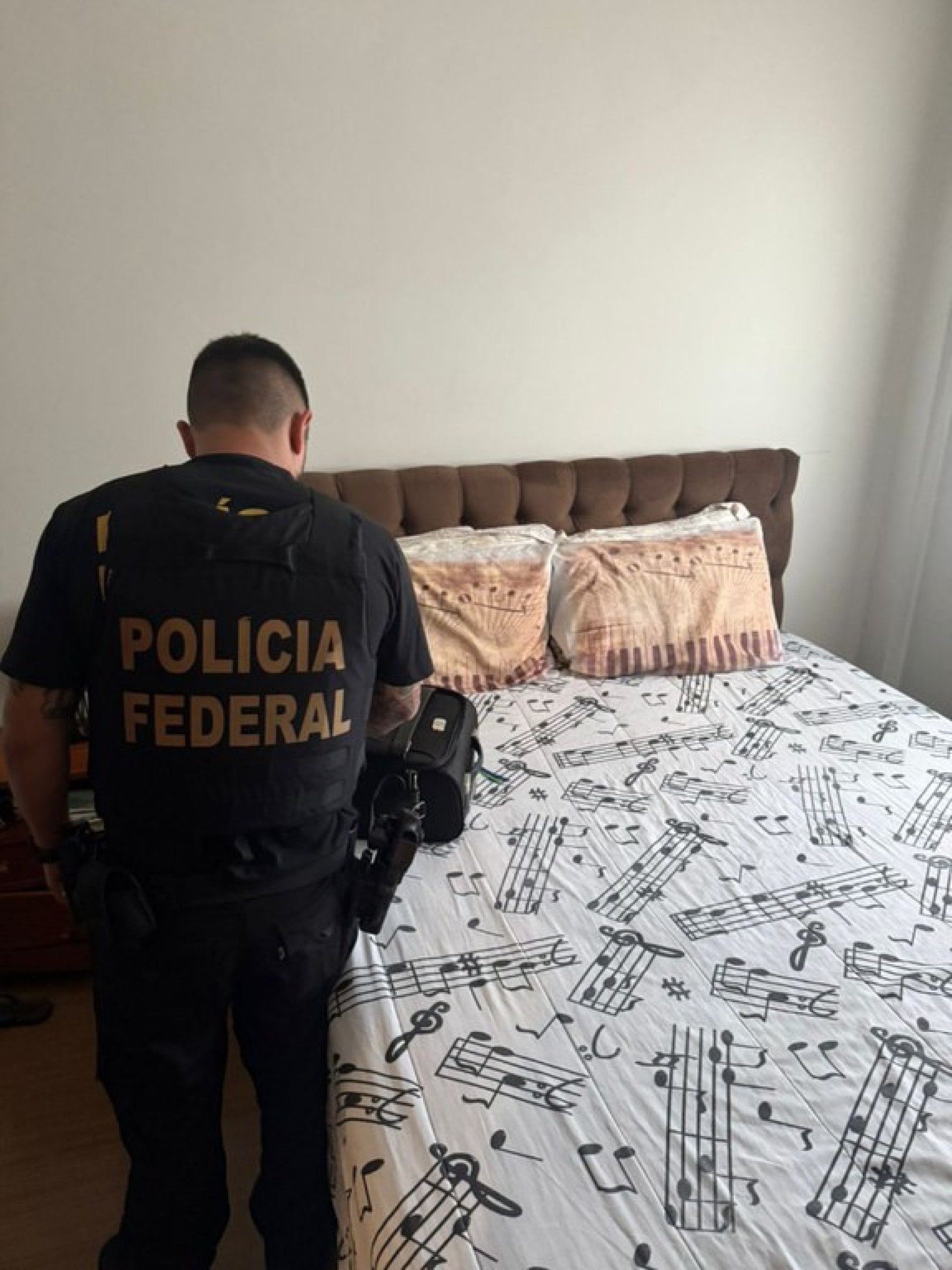 PF realiza opera&ccedil;&atilde;o contra ataque hacker a deputados federais 