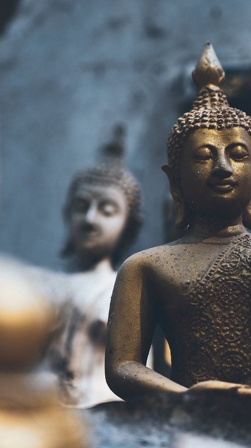 Serenidade e sabedoria: maior estátua de Buda no Ocidente fica no