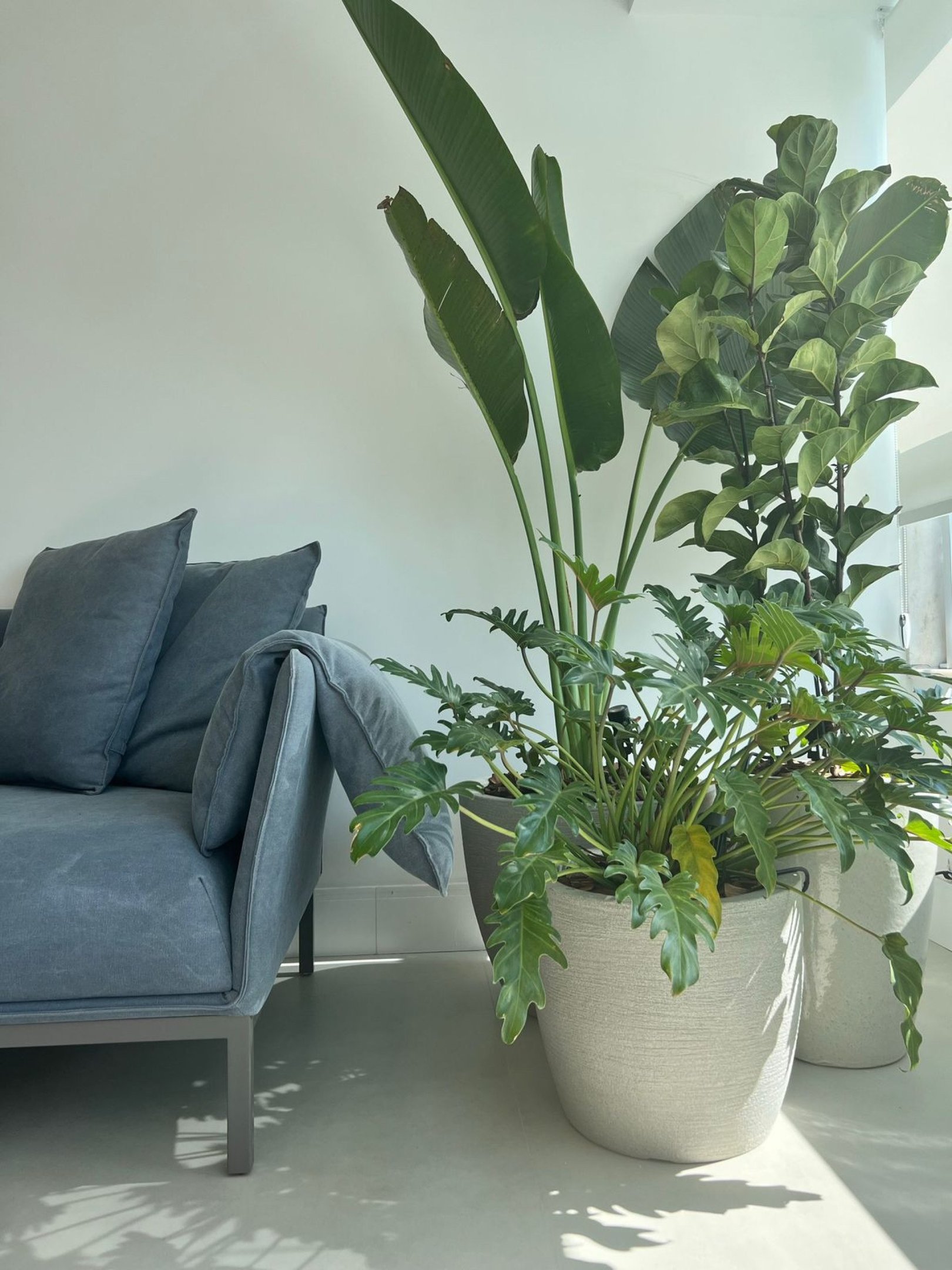 O material escolhido para os vasos tamb&eacute;m podem ajudar a criar a sensa&ccedil;&atilde;o de frescor no ambiente