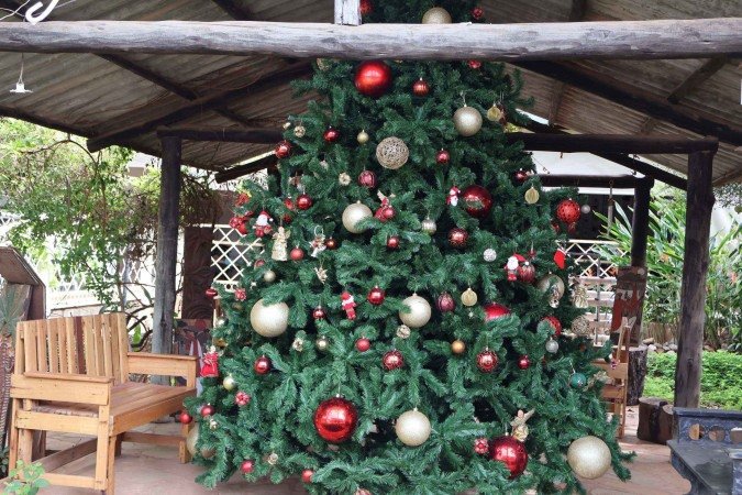  03/12/2025 Bruna Gaston CB/DA Press. Lar de Velhinhos Bezerra de Menezes, Sobradinho. 
      