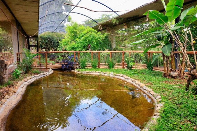 Aviário de imersão abriga diversas espécies -  (crédito: Divulgação/FJZB)