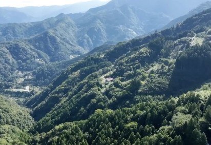 O Japão é um dos países mais envelhecidos do mundo, e a agricultura rural reflete essa realidade: a idade média dos agricultores chega a 80 ou até 90 anos em áreas montanhosas. -  (crédito: Reprodução/YouTube ) -O Japão é um dos países mais envelhecidos do mundo, e a agricultura rural reflete essa realidade: a idade média dos agricultores chega a 80 ou até 90 anos em áreas montanhosas. -  (crédito: Reprodução/YouTube )