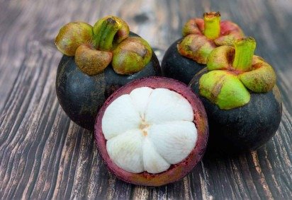 O mangostão é uma fruta tropical rica em antioxidantes que oferece diversos benefícios para a saúde (Imagem: M.Somchai | Shutterstock) -  (crédito: EdiCase) -O mangostão é uma fruta tropical rica em antioxidantes que oferece diversos benefícios para a saúde (Imagem: M.Somchai | Shutterstock) -  (crédito: EdiCase)