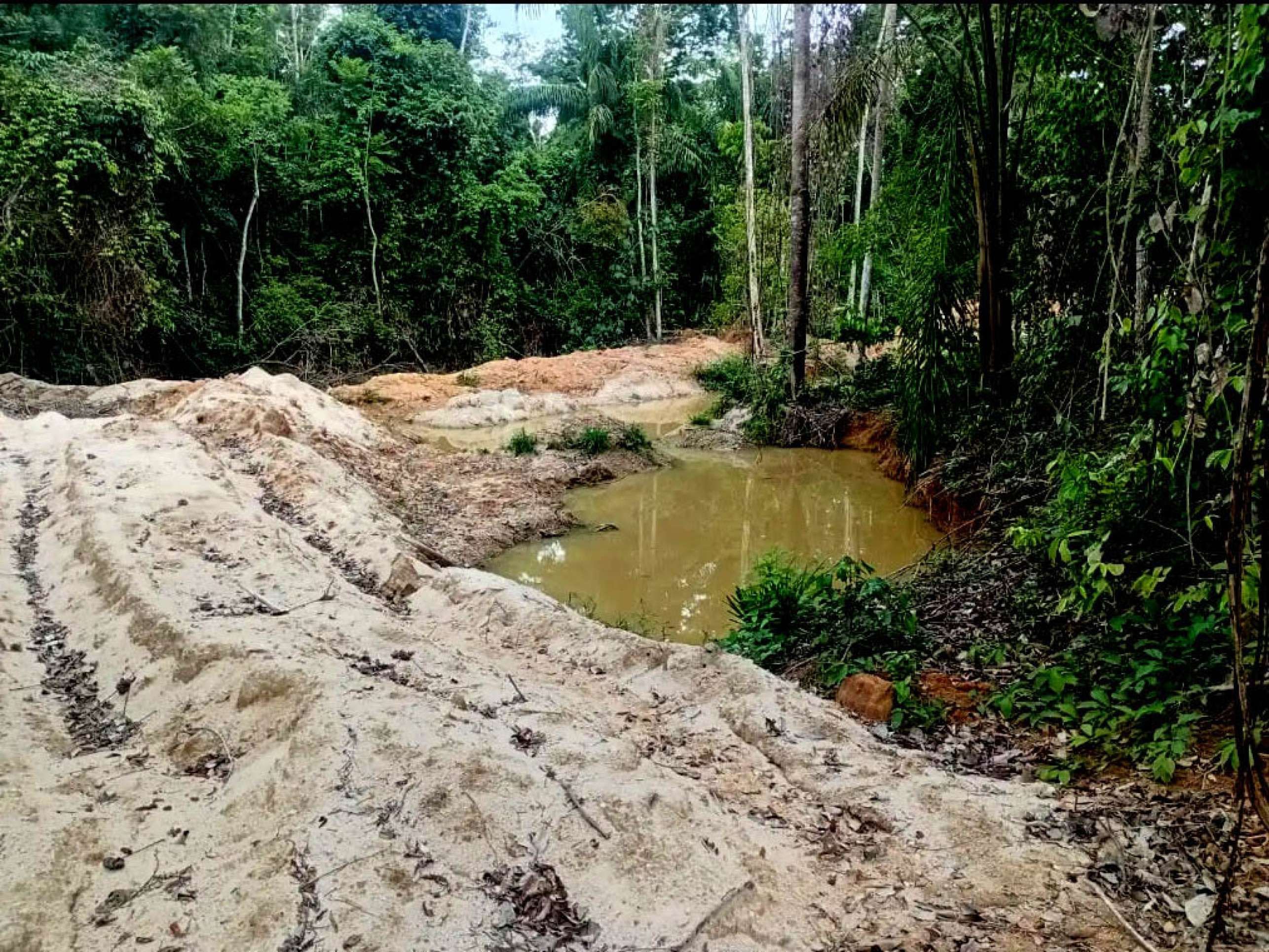  Garimpo na Terra Indigena Baú, Bacia do Xingu PA/MT